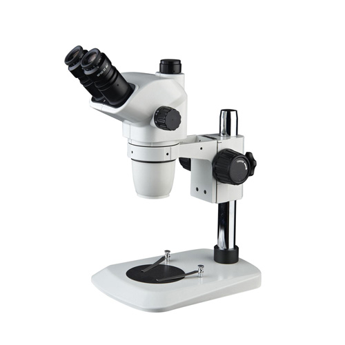 Microscope 5